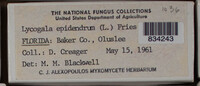 Image Associated With the Occurence